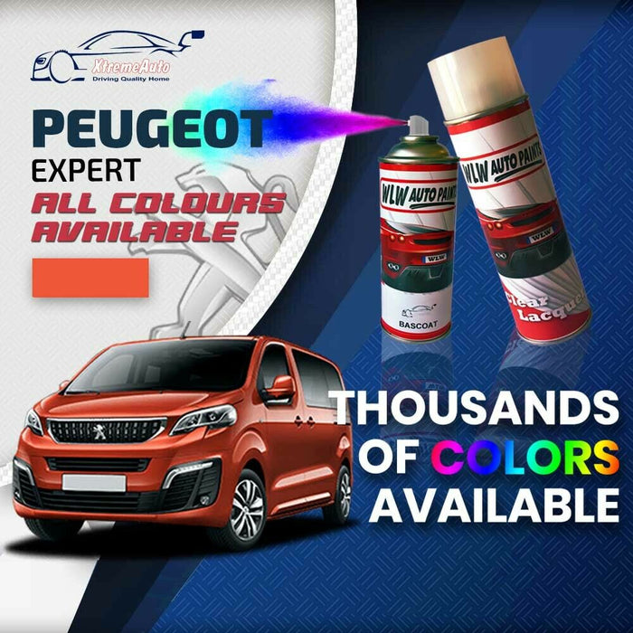 Peugeot Expert 2007 - Present Premium Stone Chip Aerosol Spray Paint All Colours