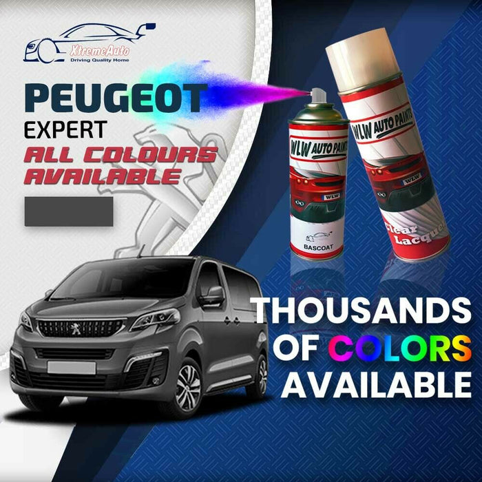 Peugeot Expert 2007 - Present Premium Stone Chip Aerosol Spray Paint All Colours