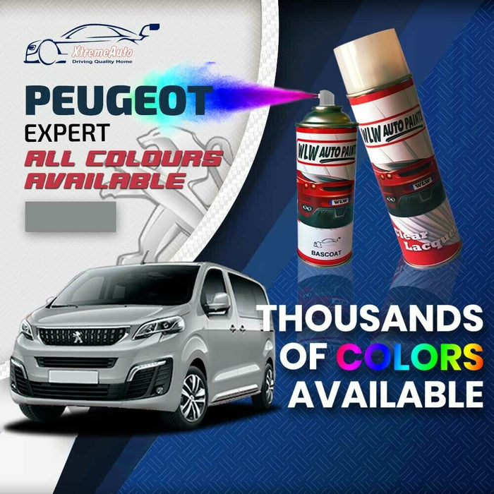 Peugeot Expert 2007 - Present Premium Stone Chip Aerosol Spray Paint All Colours