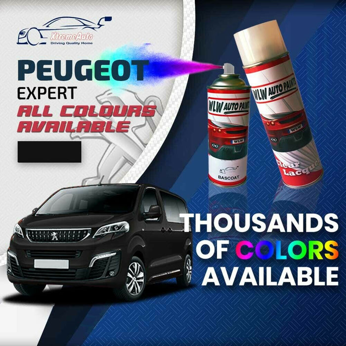 Peugeot Expert 2007 - Present Premium Stone Chip Aerosol Spray Paint All Colours