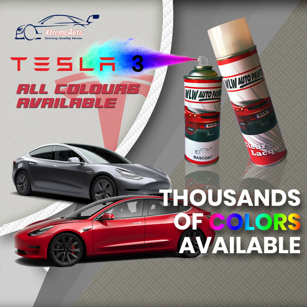 Tesla Touch up Paint