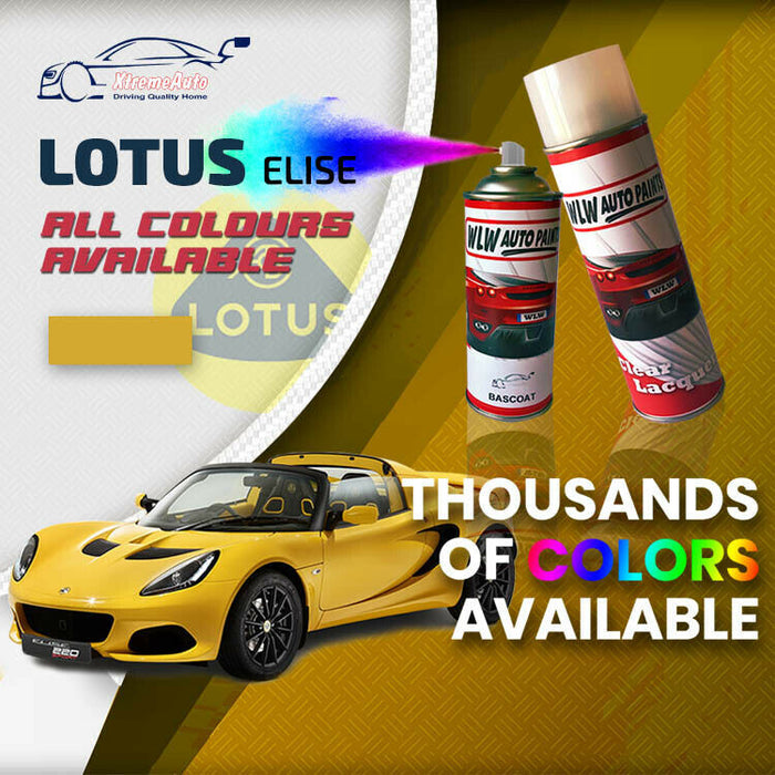 Lotus Elise Aerosol Spray Paint Premium Stone Chip 1996 - Present - All Colour