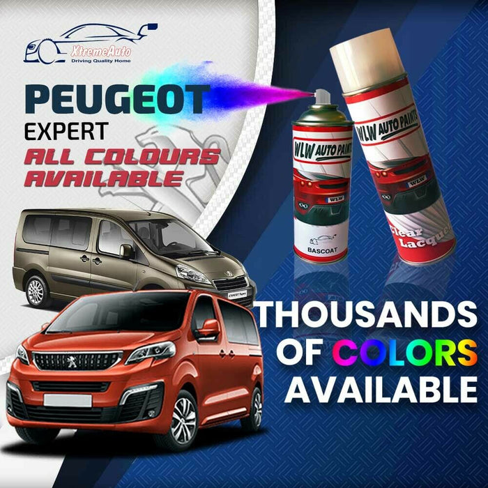 Peugeot Expert 2007 - Present Premium Stone Chip Aerosol Spray Paint All Colours