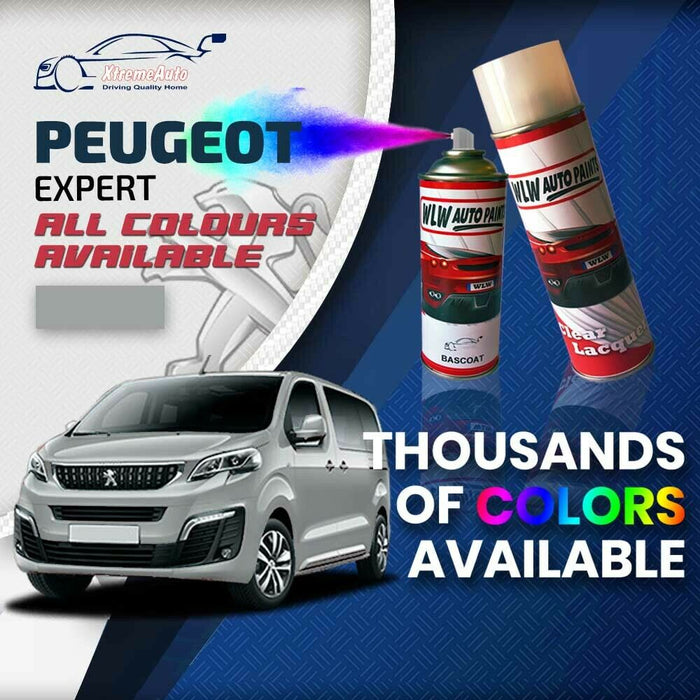 Peugeot Expert 2007 - Present Premium Stone Chip Aerosol Spray Paint All Colours