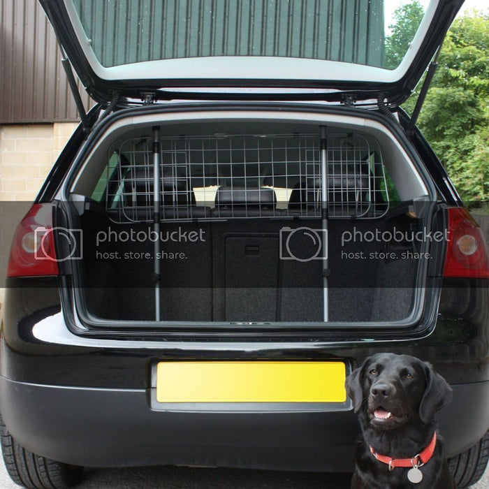 Audi dog outlet guard